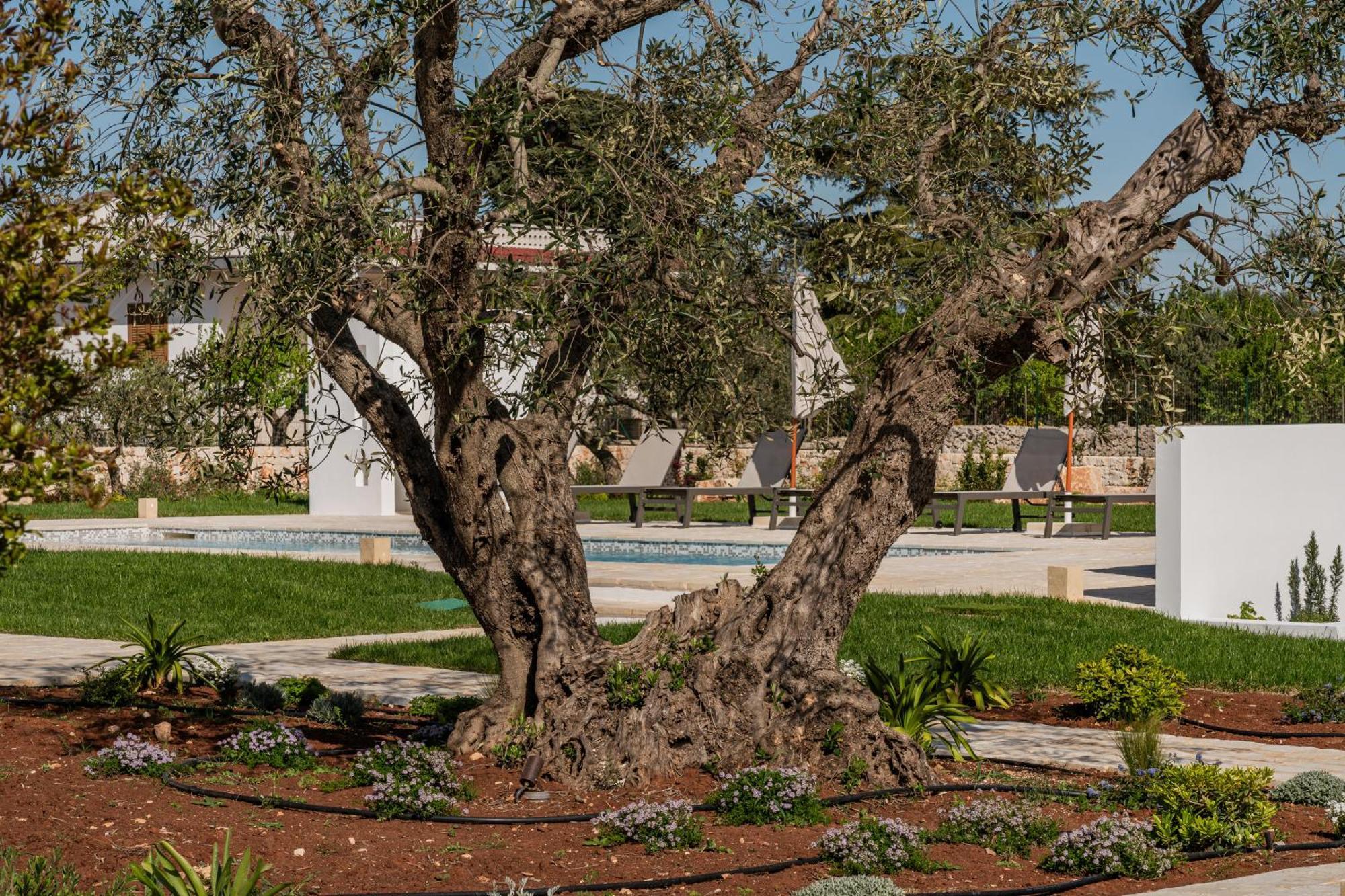 Trullo Jale - Boutique Apartments Ostuni Buitenkant foto